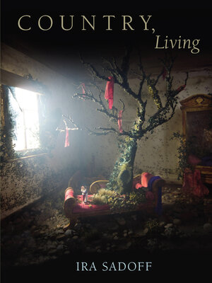 cover image of Country, Living